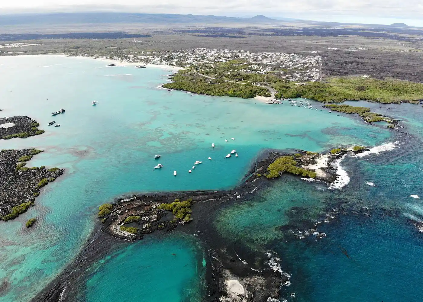 Vista aérea del Islote Tintoreras con aguas turquesas y senderos de lava, Galápagos