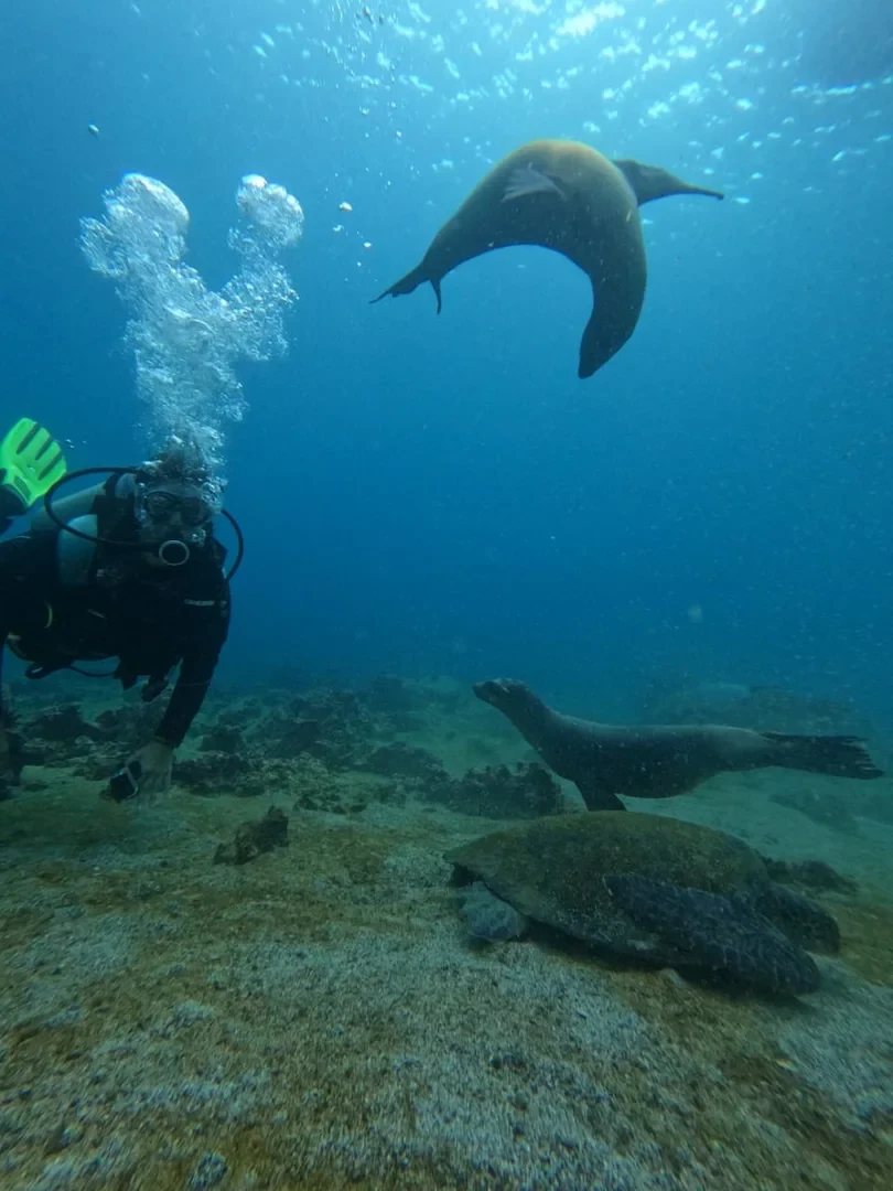 Buceador explorando el fondo marino de Bartolomé