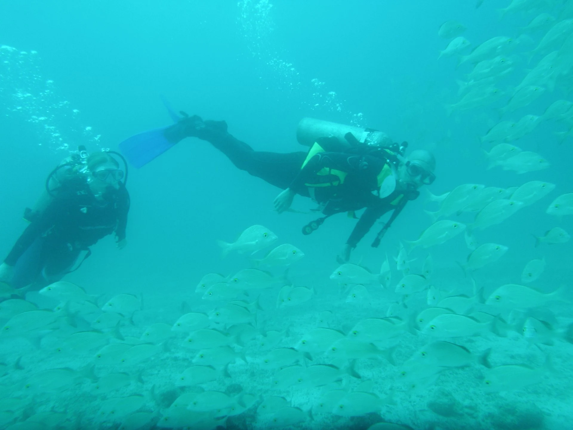 Instructor guiando a principiante durante inmersión Discovery