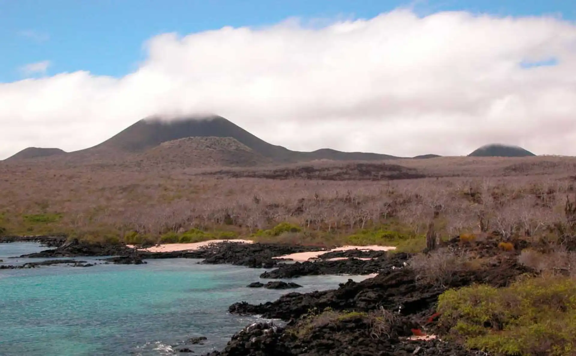 Vista de la costa volcánica de Isla Floreana, Galápagos