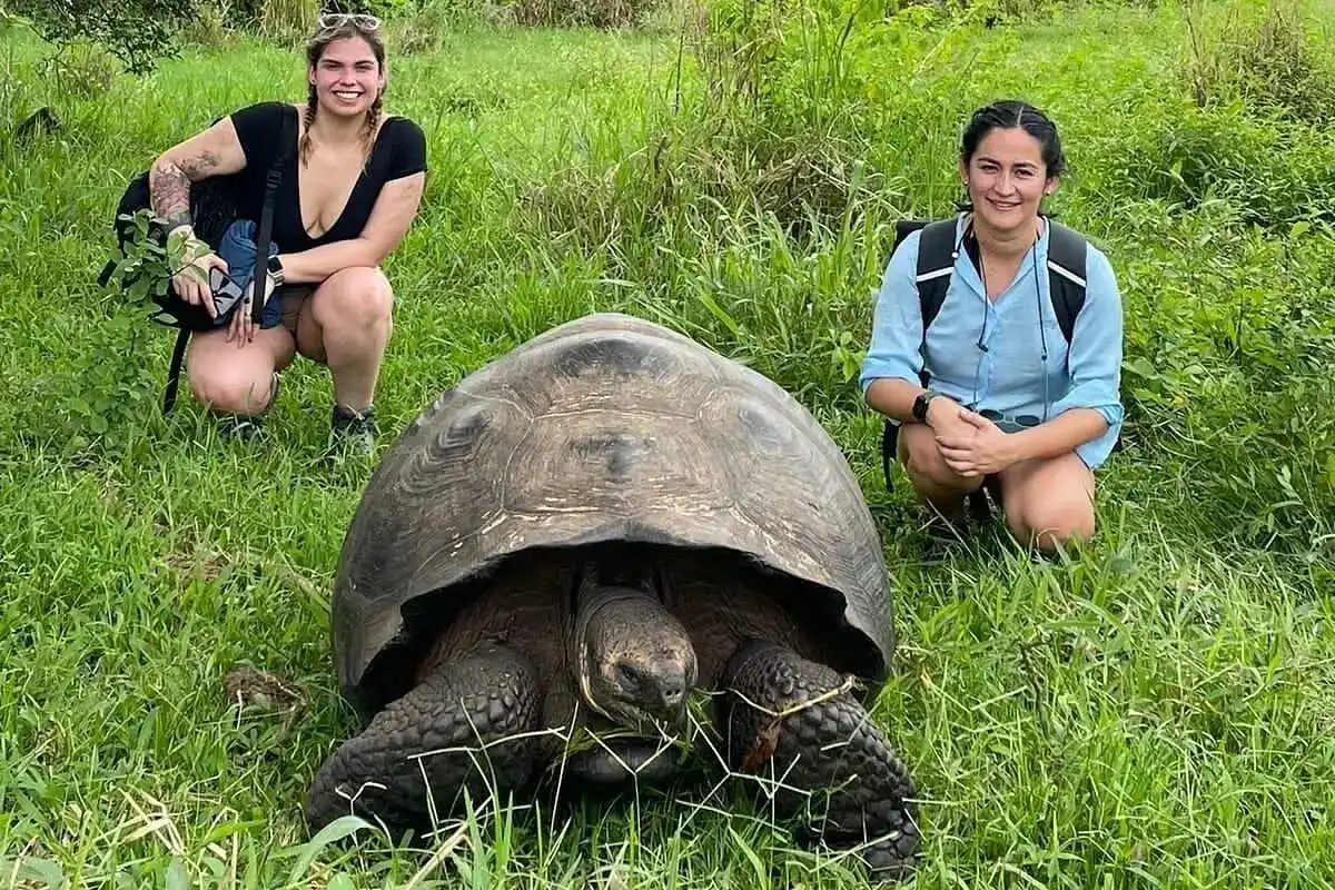 Tortuga gigante de Galápagos caminando entre la vegetación